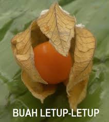 Full list of antonyms for letup is here. Anim Agro Technology Buah Letup Letup Harga M3 000