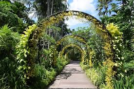 Vous avez le choix entre une arche de jardin en bois, une arche de jardin en fer. Les Meilleures Arches De Jardin Comparatif Avis Et Guide D Achat 2021