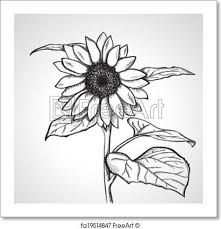 Lists some early provenance information that conflicts with that of feilchenfeldt [ref. Free Art Print Of Sketch Sunflower Helianthus Tattoosonneck Sunflower Drawing Art Inspiration Drawing Sunflower Sketches