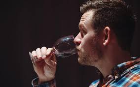 Trots kärvt klimat ökar kvaliteten på svenska druvor