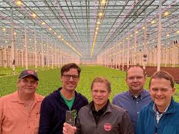 Check spelling or type a new query. Agtech Company Targets Texas For World S Largest Lettuce Greenhouse
