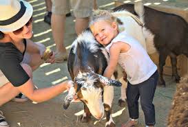 Best Petting Zoos Around La Where Kids Can Get Their Animal Fix With Images Zoo Animals Kitten Adoption Animals For Kids