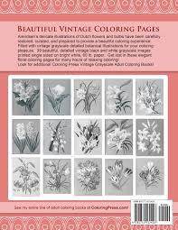 So elegant bouquet of flower coloring page. Arentine H Arendsen S Dutch Flowers A Vintage Grayscale Adult Coloring Book Vintage Grayscale Adult Coloring Books Band 4 Amazon De Ortega Ligia Fremdsprachige Bucher