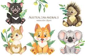 Australian Animals Clipart Watercolor Clipart Tropical Little Animal By Evgeniia Grebneva Painting Thehungryjpeg Com