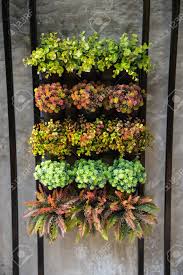 Los jardines pequeños en una casa son el último refugio, el lugar para relajarse después de un día por eso quiero mostrarte muchas ideas de decoración de jardines pequeños para que el tuyo no. Grupo De Arbol Humedo Y Pequeno En Una Olla De Barro Decoracion De Jardin Pequeno Fotos Retratos Imagenes Y Fotografia De Archivo Libres De Derecho Image 76876848