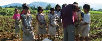 Child labour (british english) or child labor (american english; Child Labour Ethical Trading Initiative