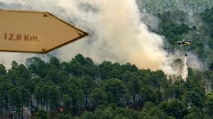 Ávila en Flammes: Incendie Hors de Contrôle! Que se Passe-t-il Vraiment? - Imagen principal del artículo