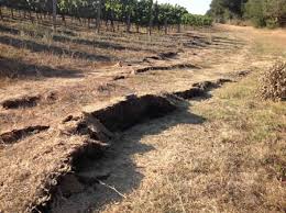 Surface Fault Major Earthquakes Earthquake Groundwater
