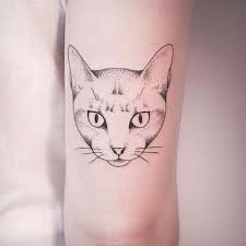 Kedi Dovmeleri Cat Tattoos 10 Kedi Dovmeleri Arka Kol Dovmeleri Erkek Dovmeleri