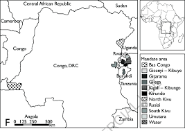 Image result for Ixora kalehensis