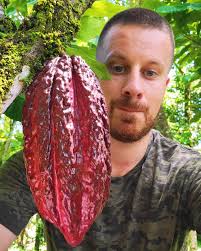 Felix Cha (@felixcha_harnois) • Instagram photos and videos