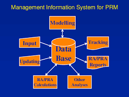 Schematic Representation of a Management Information System for ...