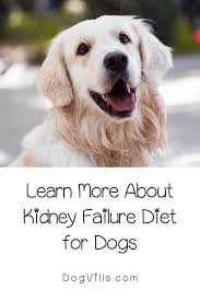 Pin On Homemade Dog Food
