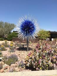 The desert botanical garden was opened in 1939 to preserve the area's pristine desert environment. Chihuly Exhibut At Desert Botanical Garden Phoenix Az Picture Of Desert Botanical Garden Phoenix Tripadvisor