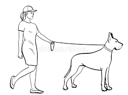 The purple hex color code for the university at albany great danes athletic team can be found below. Isolated Object Coloring Black Lines White Background A Woman With A Sports Dress Walks A Pet On A Leash Great Dane Stock Vector Illustration Of Isolated Lines 128365247