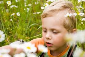 Boy smelling flower — Stock Photo © olechowski #2528420