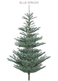Maybe you would like to learn more about one of these? How To Decorate A Christmas Tree In 7 Easy Steps Posh Pennies Christmas Tree Blue Spruce Tree Artificial Christmas Tree