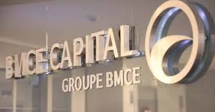 Bmce Capital Recrute Des Analystes Financiers Juniors Dreamjob Ma En 2020 Analyste Financier Financier Modelisation Financiere