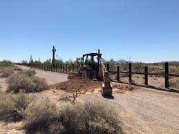 More untouched and lush (for a desert that is) than more easily accessed american sw desert parks, organ pipe cactus national monument was created to protect its namesake, the organ pipe cactus. Border Wall Construction In Organ Pipe Cactus National Monument Is A Travesty High Country News Know The West