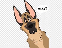 The belgian shepherd generally gets along with cats as long as he has been raised with them as a puppy. Belgian Shepherd Png Images Pngwing