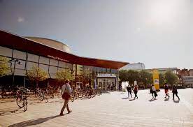 Get babylon's translation software free. Language Requirements Karlstad University