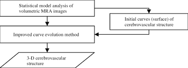 Flow Chart For Cerebrovascular Segmentation Of Tof Mra Using