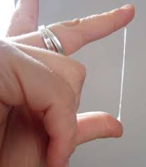 Questo tipo di perdite lascia una sensazione di umidità della vulva che è un chiaro segnale di ovulazione. Muco Cervicale Osservarlo Per Rimanere Incinta Scintilla Di Vita