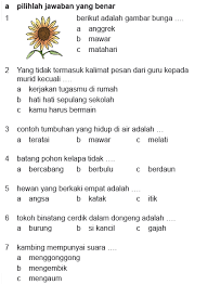 A.dua puluh tahun lalu, ponsel hanyalah telepon tanpa kabel. Kunci Jawaban Buku Paket Bhs Indonesia Kelas 11 Jawaban Soal