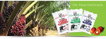 Agromaster is one of the leading manufacturer of fertilizers in malaysia. Fertilizer Supplier Malaysia Oil Palm Fertiliser Supply Kuala Lumpur Kl Selangor Rubber Fertiliser Supplies Ferlab Sdn Bhd