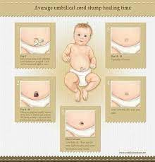 Cara membersihkan mesin cuci 2 tabung. Facebook