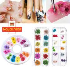Check spelling or type a new query. Dried Flowers For Nail Art For Sale Ebay