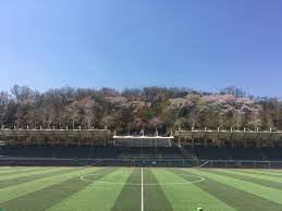 마치 천연잔디구장에서 뛰는 기분으로 부상의 위험 없이 쾌적하게. ì¶•êµ¬ìž¥ ì²´ìœ¡ì‹œì„¤ ì„œìš¸íŠ¹ë³„ì‹œ ê³µê³µì„œë¹„ìŠ¤ì˜ˆì•½