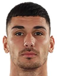 Image result for ghiocel