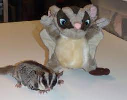 Sugar Glider Plush Shandy The Sugar Glider Sugar Glider Sugar Glider Toys Glider Toys