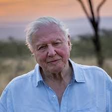 Importance of calling for help with injured or deceased wildlife