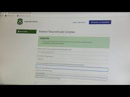 Este permiso solo se otorga a extranjeros que hayan solicitado la permanencia en el territorio nacional después de. Como Sacar El Permiso Temporal Por Internet T13teexplica Youtube