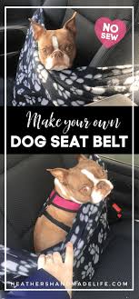 Diy Dog Seat Belt Dog Seat Belt Diy Dog Blankets Diy Dog Stuff