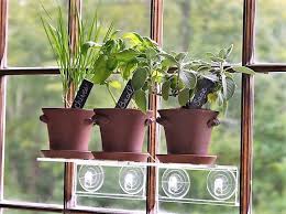 10 Important Tips To Create Your Own Indoor Herb Garden Herbs Indoors Indoor Herb Garden Window Herb Garden