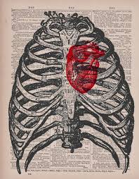Where is your heart and what does it look like? Human Heart Ribcage Vintage Dictionary Print Anatomy Art Cardiology Art Heart Art