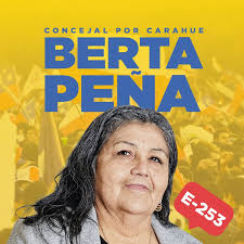 Nngg Udi Araucania(@nngglaaraucania) • Instagram 사진 및 동영상