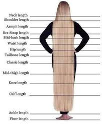 hair length chart hair theme