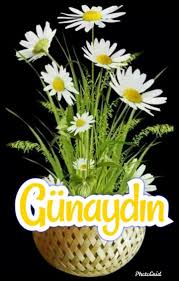 Aleyna Firat Turker Adli Kullanicinin Gunaydin Panosundaki Pin 2020 Gunaydin Gunaydin Sozleri Resimler