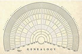 Treeseek Genealogy Fan Wall Chart Large Blank Fillable