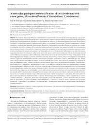 Image result for Chloris mossambicensis