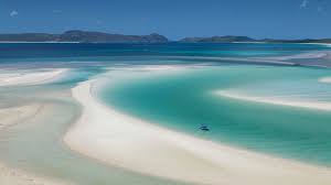 Image result for Queenslandiella