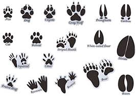 ✓ kommerzielle nutzung gratis ✓ erstklassige bilder. Mozamy Creative Animal Tracks Wandaufkleber 18 Stuck Tier Wandaufkleber Tierspuren Wanddekoration Jungenzimmer Entfernbar Abziehbar Und Aufklebbar Schwarz Tierspuren 1 Amazon De Kuche Haushalt