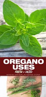Toss the cherry tomatoes into the skillet for the last minute of cooking. Oregano Herb Uses And Recipes Masalaherb Com