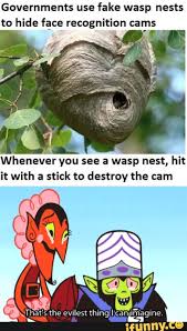 More hornets nest memes… this item will be deleted. Governments Use Fake Wasp Nests To Hide Face Recognition Cams Whenever You See A Wasp Nest Hit It With A Stick To Destroy The Cam H Eat S The Evilest Thingilicanjimagine