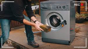 We did not find results for: Cursed Videos Meme On Coub