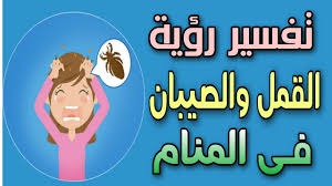 تفسير رؤية القمل والصيبان فى المنام تفسير رؤية تساقط القمل ونزعه من الشعر فى الحلم youtube